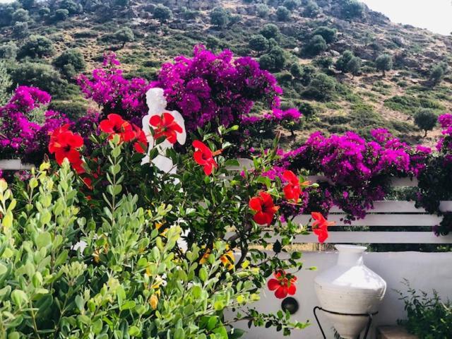 شقة La Bastide سكيروس المظهر الخارجي الصورة