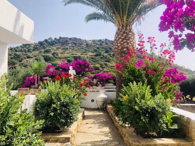شقة La Bastide سكيروس المظهر الخارجي الصورة